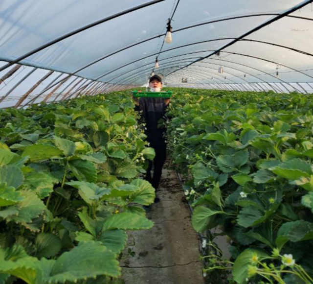 방탄소년단 슈가. 방탄소년단 트위터