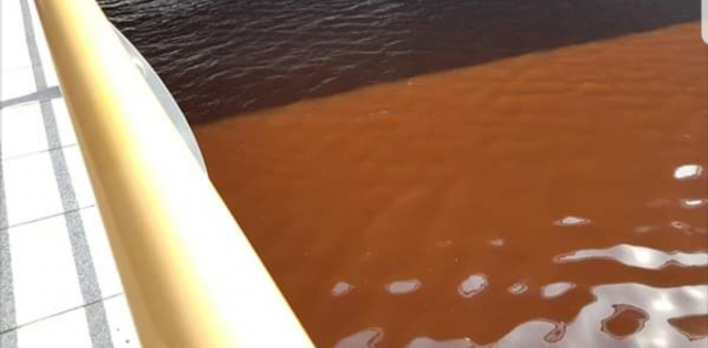 부산 수영강 물색이 적조 탓에 붉은색으로 변해 있다. 독자 제공