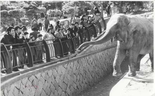 1978년 2월 28일 동래동물원을 찍은 사진입니다. 치마·저고리 차림과 중절모에 두루마기를 입은 관람객들이 눈에 띄네요. 부산일보DB