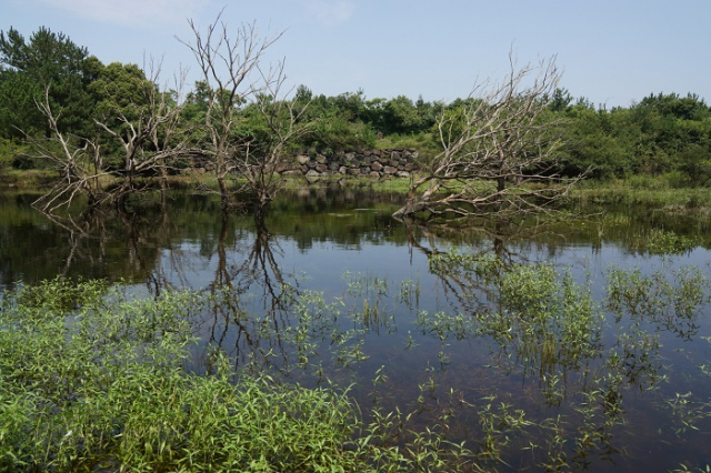 동복리습원. 산림청 제공