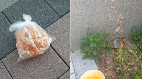 인천 송도국제도시 한 아파트 단지에 던져진 빵과 참치캔. 연합뉴스