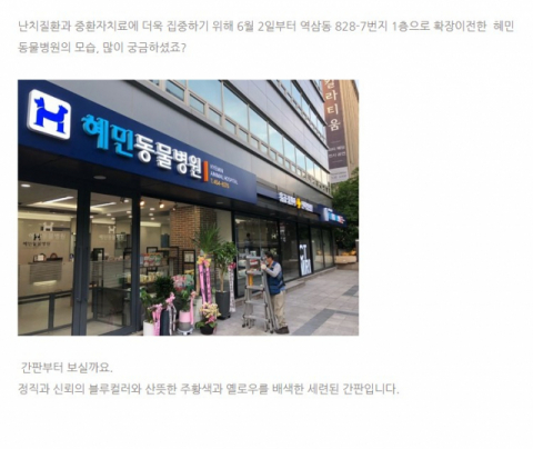 혜민동물병원 블로그 캡처