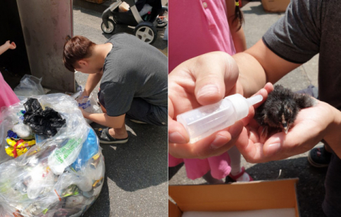 온라인 커뮤니티 '네이트판' 캡처