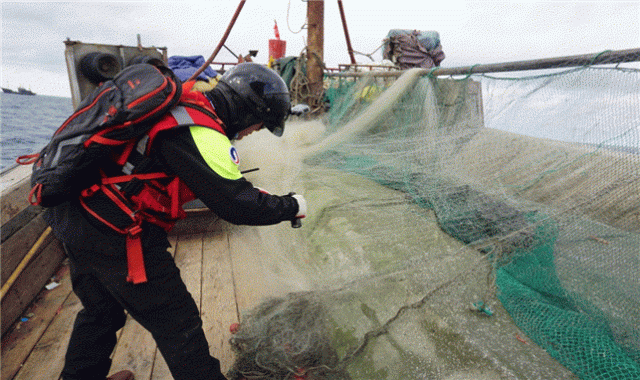 불법어업 여부를 확인하기 위해 어선에서 그물 규정을 측정하는 장면. 해수부 제공