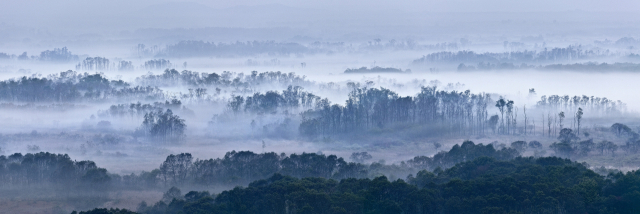 비무장지대 내 철원 풍천원 들판을 찍은 박종우의 ‘DMZ #1’. 이 일대는 궁예도성이 있던 자리다. 고은사진미술관 제공