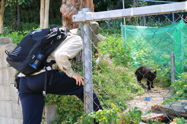 최명환 씨가 사진을 찍기 전에 길고양이와 교감을 나누고 있다.