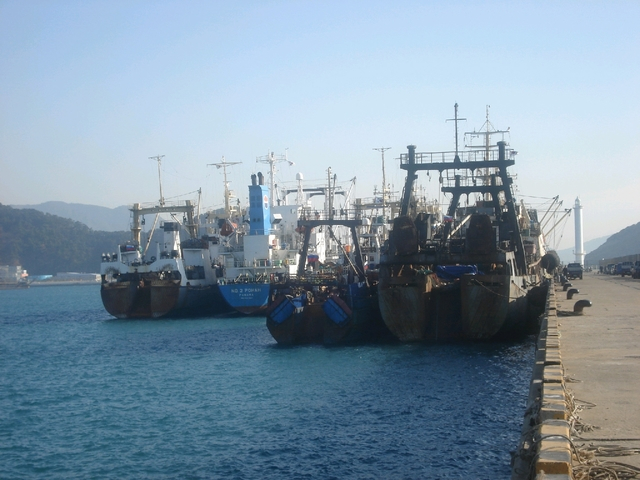 사진은 부산 감천항 선박들 모습. 부산일보DB