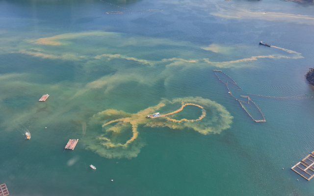 지난해 적조 방제 현장. 부산일보 DB