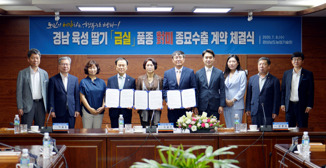 8일 경남도농업기술원은 미국 업체와 ‘금실’ 딸기 종묘 수출 계약을 체결했다. 경남도농업기술원 제공