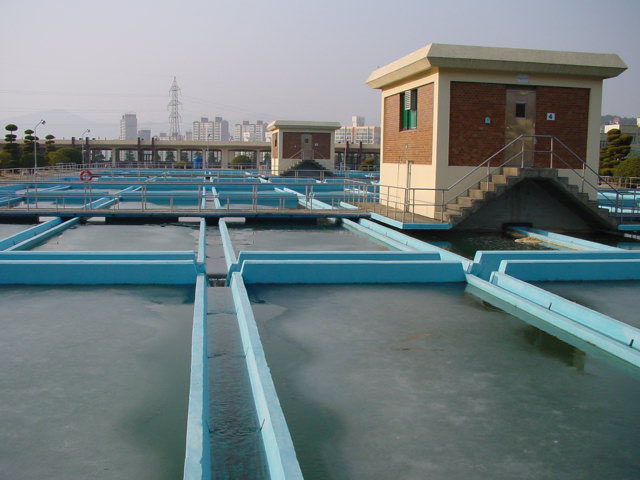 화명정수장 침전지. 부산일보DB