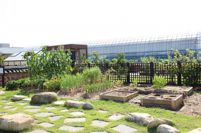 국립원예특작과학원 연구용 재배지에 9.9㎡(3평) 규모로 만든 도시 텃밭 모형.