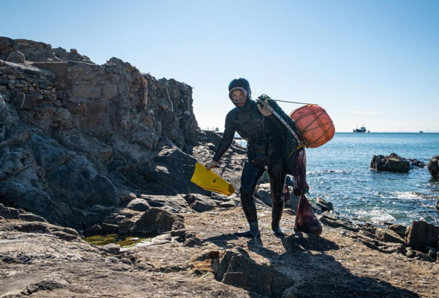 부산 영도는 1890년대 제주 해녀들이 처음으로 제주 섬을 벗어나 바깥 물질을 시작한 첫 기착지였다. 국립민속박물관 제공