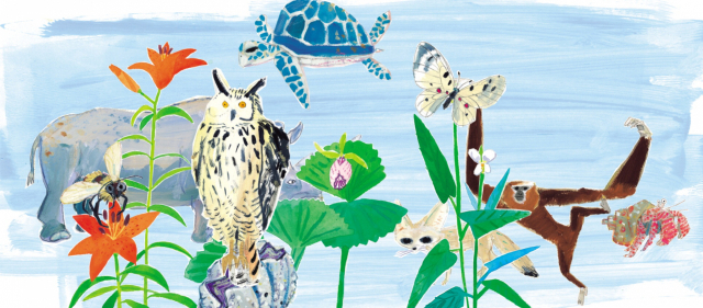 〈태어납니다 사라집니다〉 본문 이미지. 초록개구리