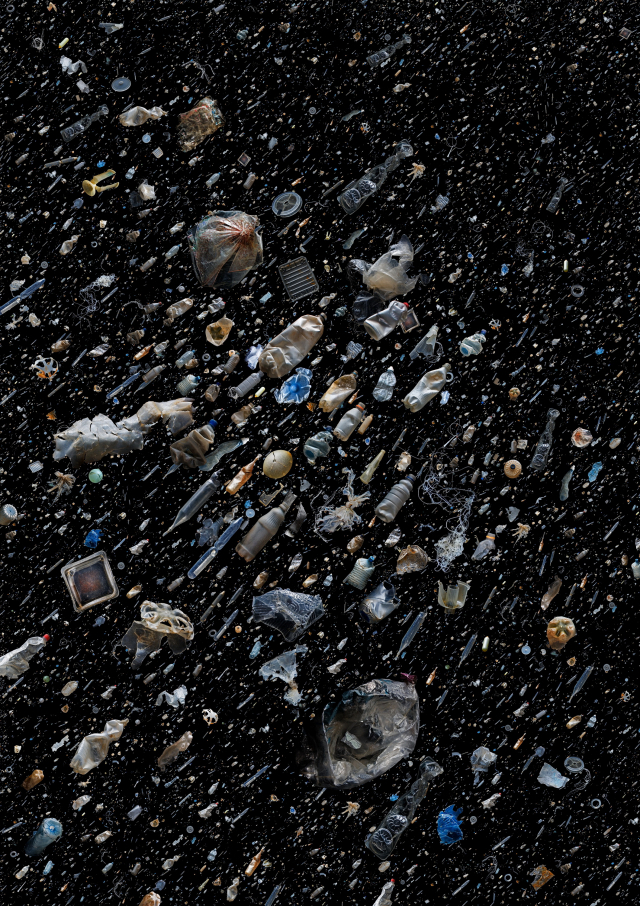 맨디 바커의 ‘바다를 뒤덮은 존재’. 부산국제사진제조직위 제공