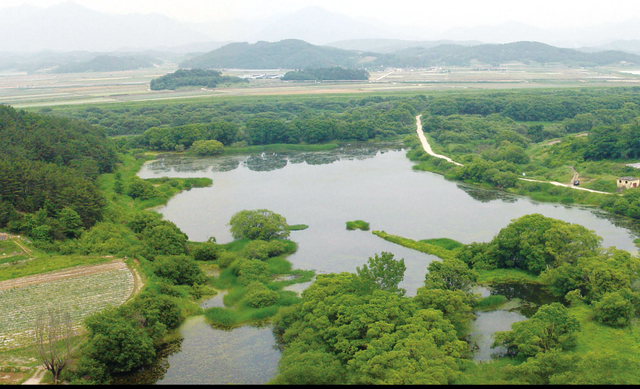 창녕군 장마면 대봉습지 전경. 부산일보DB