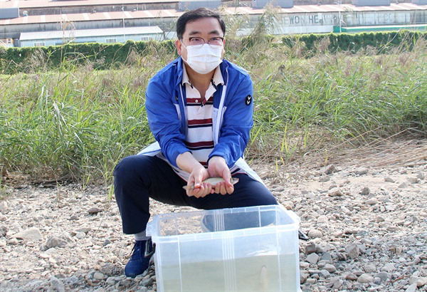 허성무 창원시장이 지난 25∼26일 창원천, 남천에서 잡힌 은어를 보이고 있다. 창원시 제공