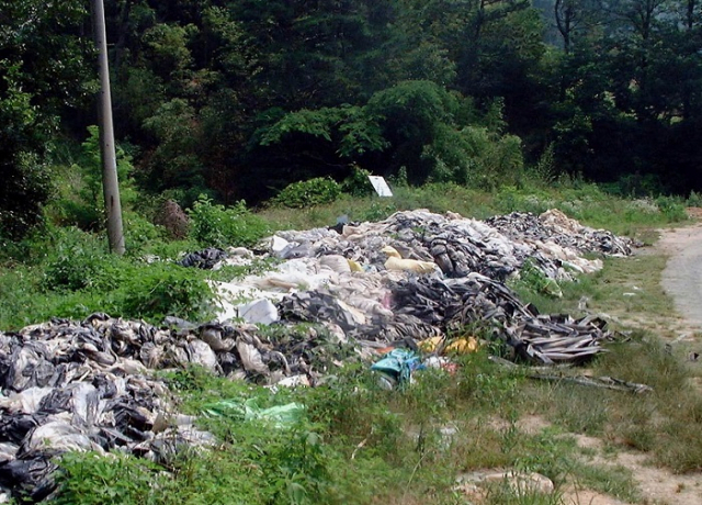 농촌지역에 방치된 폐비닐. 부산일보 DB