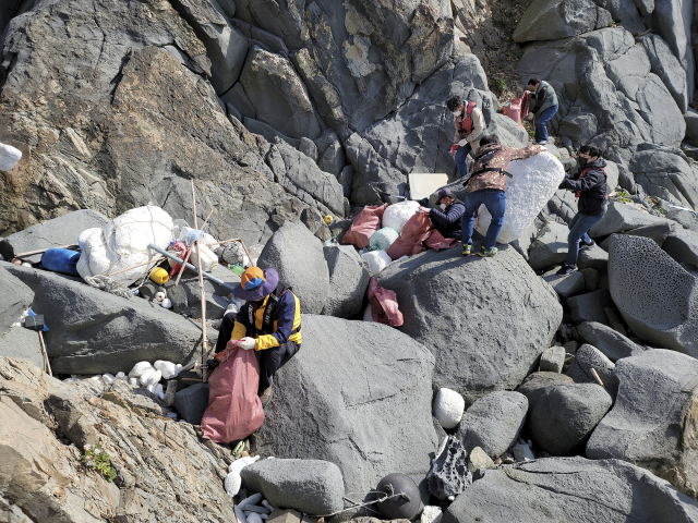 15일 한국중부발전, 보령시 등 참여자들이 나무섬에서 해양폐기물을 수거하고 있다. 중부발전 제공