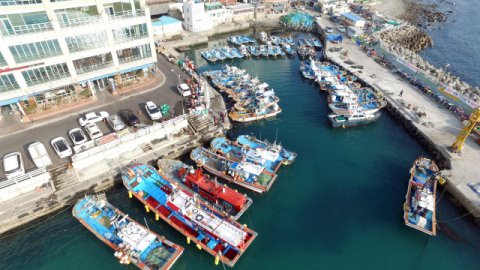 부산 해운대구 미포항에서 관계 기관의 안전 점검을 받으려고 대기 중인 낚시 어선들. 부산일보DB