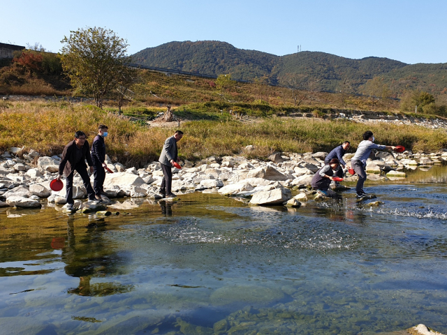 2일 산청군 관계자들이 경호강과 덕천강 등 하천에 다슬기 치패를 방류하고 있다. 산청군 제공