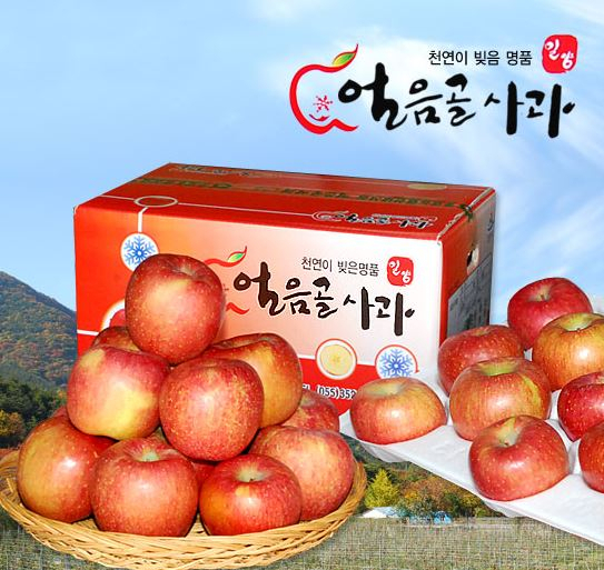 밀양얼음골사과.