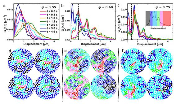 임계점에서 집합적으로 움직이는 유리 입자. 각 그래프의 가로축은 입자의 변위, 세로축은 시간 t가 지났을 때 원래 위치로부터 r만큼 떨어져 있는 입자의 개수와 상응한다. 색상으로 시간변화를 볼 수 있다.(빨강→남색) 이 때 그래프의 피크는 시스템이 결정의 격자 구조처럼 불연속적인 구조를 갖고 있음을 의미한다. 왼쪽에 packing fraction이 0.55일 때는 시스템이 액체이므로 피크가 하나도 없고, 임계점인 0.60에서 여러 개의 피크가 생기며 고체의 성질을 보여주기 시작한다. 0.75에서는 고체의 성질이 두드러진다. 그림 e에서 표현된 것처럼 고체와 액체의 성질을 균일하게 가지게 된 임계상태의 경우, 전체적인 입자들의 운동성이 커진다. Packing fraction이 임계점을 넘어갈 경우, 시스템에서 고체의 성질이 강해지기 때문에 입자들이 자유롭게 움직이지 못하고 액체보다 활동성이 떨어지게 된다. IBS 제공