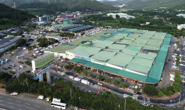 부산 해운대구 반여농산물도매시장 부지 이전이 내년 상반기에 가시화될 전망이다. 해운대구 반여농산물도매시장. 부산일보DB