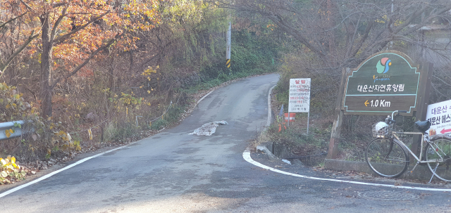 경남도 지방토지수용위원회가 최근 수용 재결한 양산숲애서 편입부지 전경.
