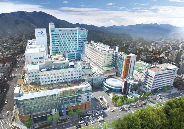 부산대병원 전경. 부산일보DB