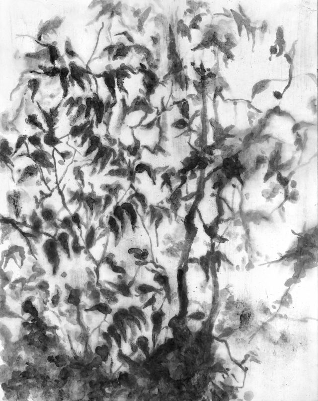 유현욱 '사라지면서도 살아나는'. 달리미술관 제공