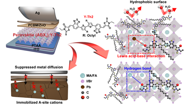 Y-Th2 첨가제의 역할. 페로브스카이트 내 구성 원소와의 반응을 통해 경계면 결함 등을 감소시키며 그에 따라 페로브스카이트의 성능 및 안정성을 향상시킬 수 있다.UNIST 제공