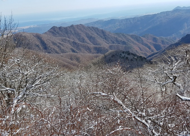 산림청은 12월의 추천 국유림 명품숲으로 강원도 고성군과 인제군 경계에 위치한 향로봉을 선정했다. 산림청 제공