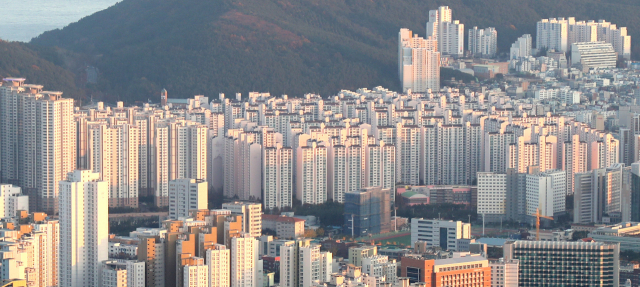 본격적으로 리모델링을 추진 중인 부산 최대 규모의 아파트 단지인 부산 남구 용호동 LG메트로시티. 강선배 기자 ksun@