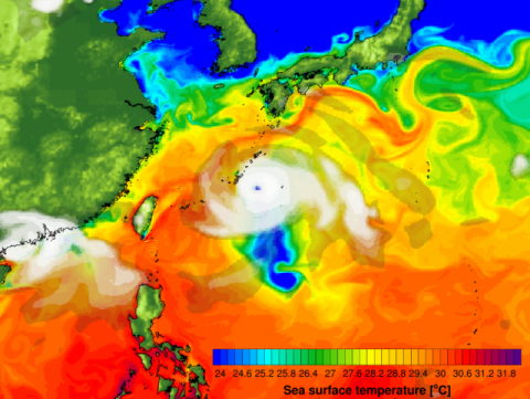 열대저기압에 동반된 강한 바람에 의해 발생하는 해수 냉각효과. 부산대 제공.