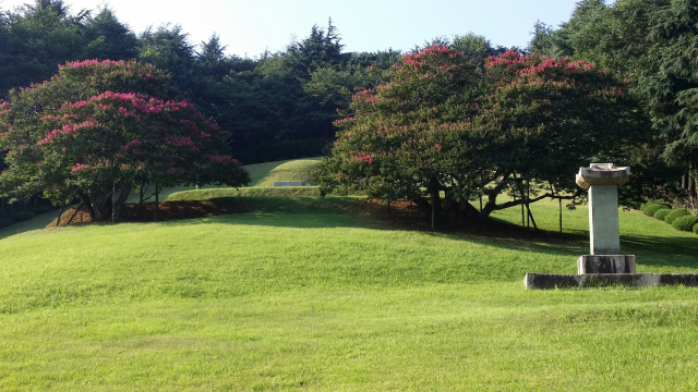 양정 화지공원의 정묘와 천연기념물 배롱나무.