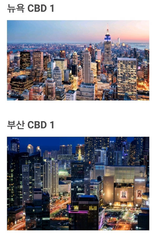 온라인 커뮤니티