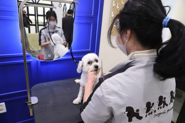 호텔 내 반려견 미용실