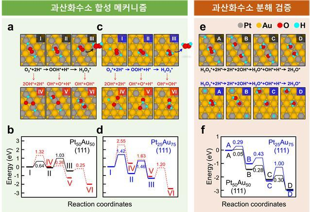 계산과학을 통해 입증된 금-백금 나노입자 촉매의 H2O2 생산 메커니즘. KIST 제공