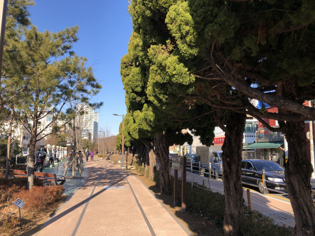 그린레일웨이의 미포~송정 구간이 끝나는 옛 송정역에서 잠깐 끊어진 산책로는 송정삼거리에서 다시 시작해 1km 남짓 이어진다. 멀리 이케아와 롯데아울렛 동부산점 간판이 보이는 동부산관광단지 입구가 그린레일웨이의 종점이다.