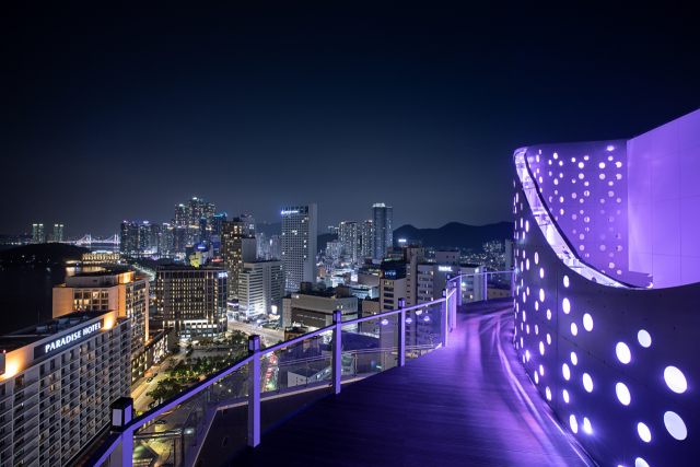 부산에서 4성급 호텔로선 처음으로 반려견 동반호텔이 문을 열었다. 영무파라드호텔 루프탑에서 바라본 야경. 영무파라드호텔 제공