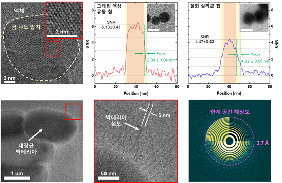 그래핀 액상 유동 칩을 이용해 관찰한 나노 입자 및 박테리아의 전자현미경 이미지. 금 나노 입자의 원자 단위 이미징과 기존 대비 고해상도의 이미징이 가능하며, 박테리아의 섬모와 분자단위 관찰이 가능하다. KAIST 제공