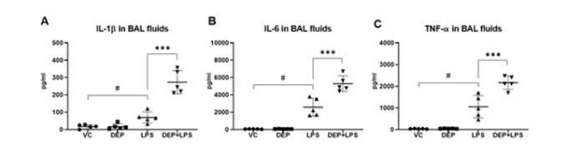 BAL fluids 내에 염증성 사이토카인 분석 결과. 안전성평가연수소 제공
