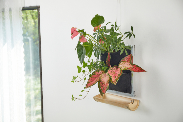 ‘알로하그린-도시에서 식물과 친해지는 방법’에서 보여 줄 수직정원. 영도문화도시센터 제공