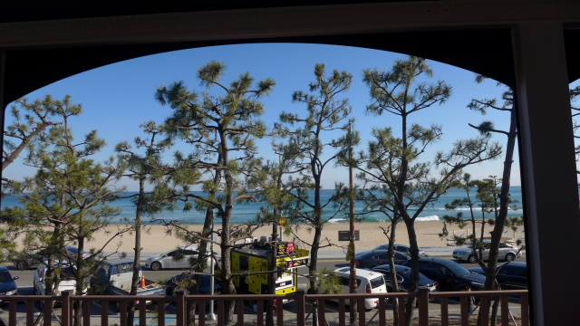 소나무와 푸드트럭, 너른 해변이 펼쳐진 송정해수욕장 풍경이 창밖으로 나타날 때는 이국적인 감흥이 있다.