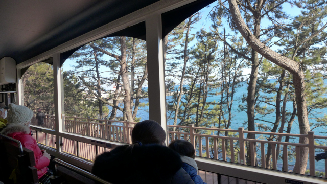 해변열차 통유리창을 가득 채우는 풍경. 솔숲 사이로 하늘과 바다가 맞닿은 수평선이 걸린다.