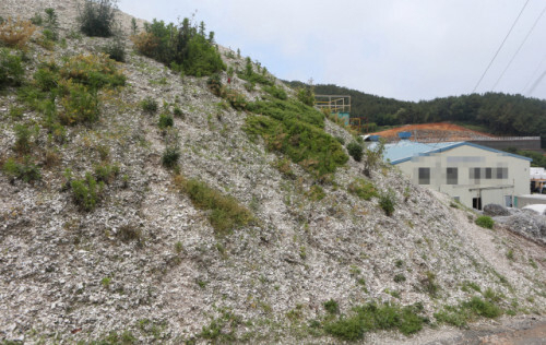 해양수산부가 해양폐기물관리법 개정을 통해 해양에서 활용할 수 있는 해양폐기물의 종류를 굴이나 조개 껍데기(패각) 등으로 확대하는 방안을 추진한다. 국내 최대 굴 산지인 경남 통영의 한 해안에 야적된 굴 패각. 부산일보DB