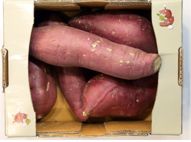 못난이 왕고구마. 이마트 제공