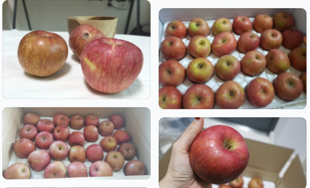 못난이 사과. 네이버 사진 캡처