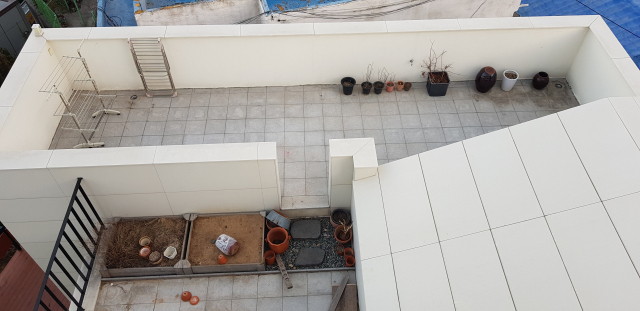 모여가 주택은 다른 집의 옥상과 테라스가 서로 통하는 곳이 있다. 아이들은 곧잘 이곳을 이용해 들락날락한다. 정달식 선임기자