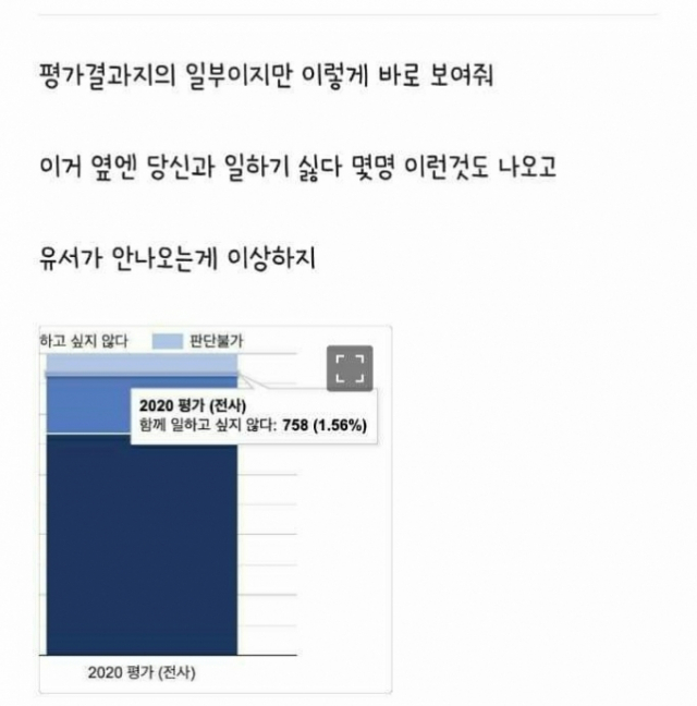 블라인드에 올라온 카카오 인사평가 결과지.